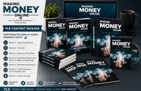 Making Money Online
