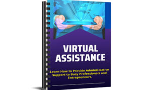 Virtual Assistance