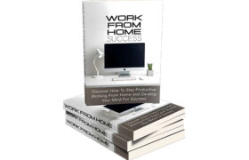 Work From Home Success