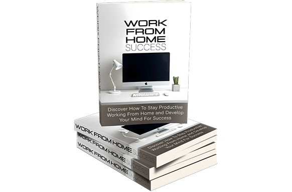 Work From Home Success