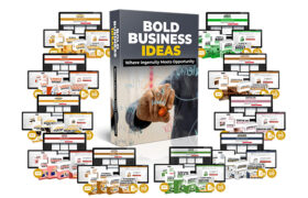 Bold Business Ideas