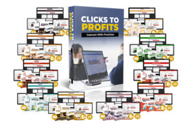 Clicks To Profits