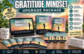 Gratitude Mindset Upgrade Package